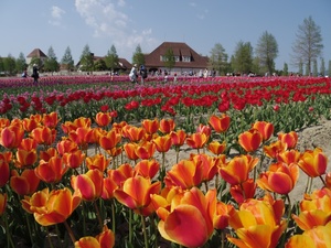 京都府のグルメ 料理全般のグルメ 料理全般のサークル一覧 27件 掲載サークル数no 1 32 746サークル 社会人サークルと学生のフレンドアプリ つなげーと