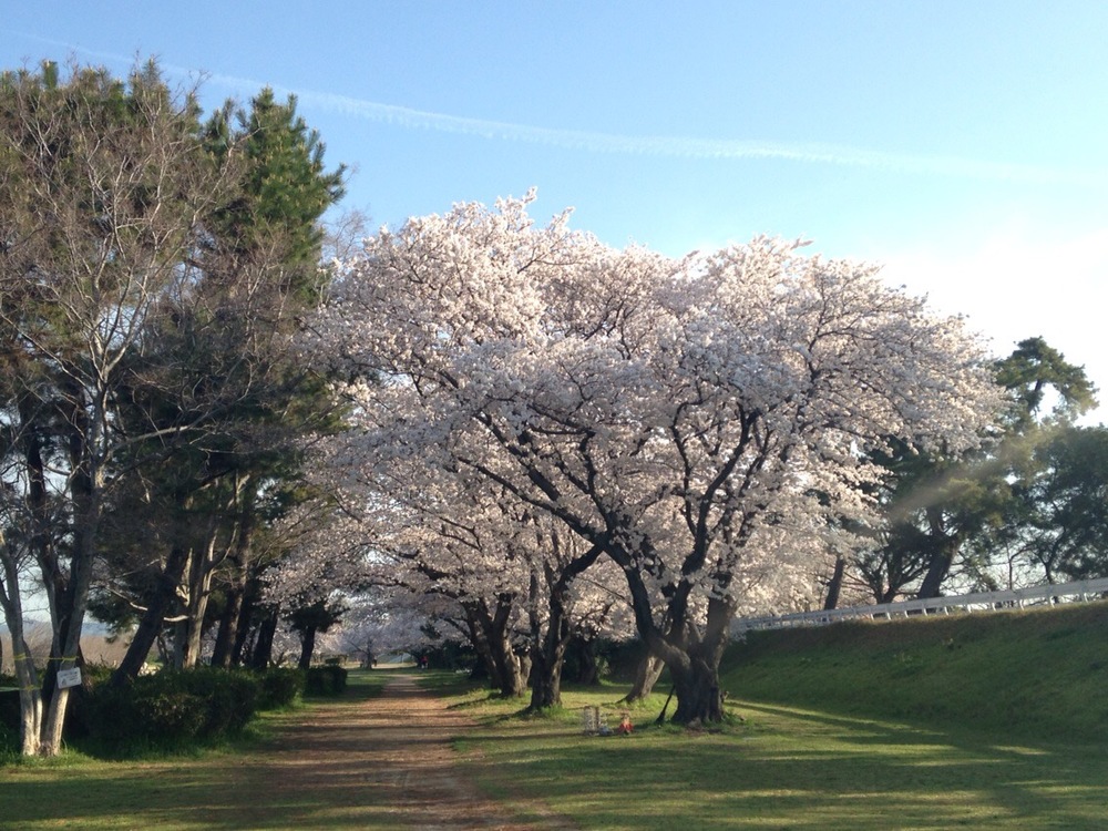 ブラブラお散歩旅