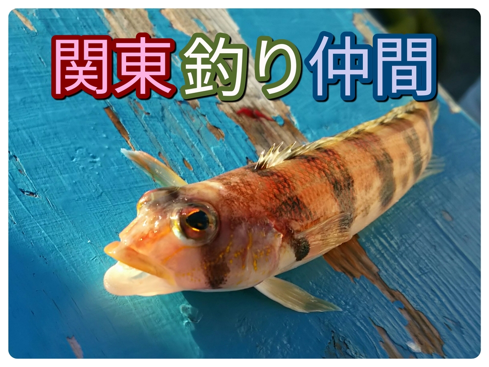 夏のタチウオ釣りのサークル活動カレンダー 年8月23日 掲載サークル数日本一 サークルメンバー募集中 社会人の為のサークル活動支援プラットフォーム つなげーと