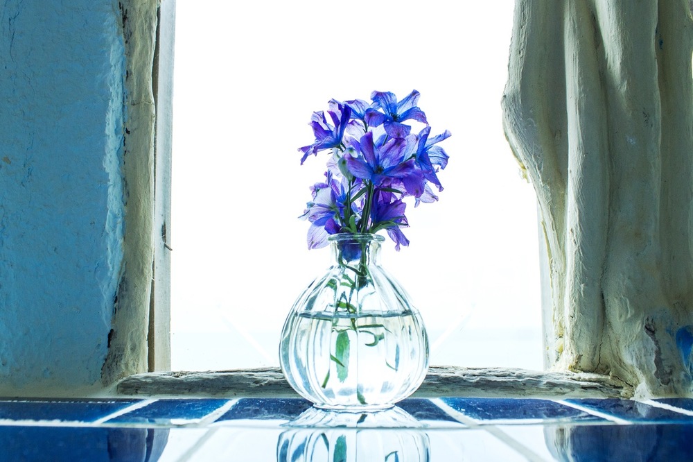 福岡県 カメラ 写真サークル Pic友 福岡県で カメラ 写真 芸術 アートの活動中 カメラ 写真 芸術 アート 掲載サークル数日本一 サークルメンバー募集中 社会人の為のサークル活動支援プラットフォーム つなげーと