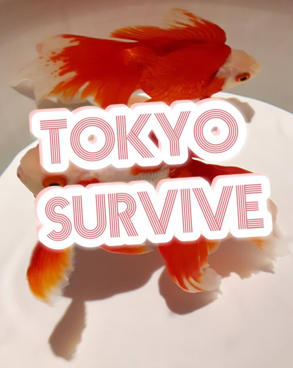 イベント体験型サークル【Tokyo Survive】（クラブ、施設、季節イベント）