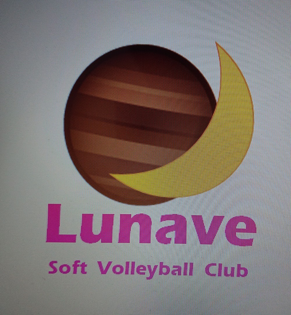 Lunave softvolleyball club(満濃南スポーツサークル)