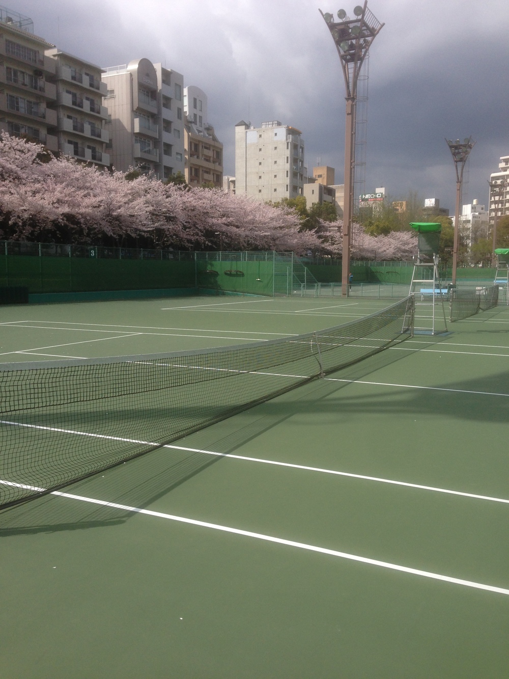 20代中心のテニスサークルTLBG(青森)