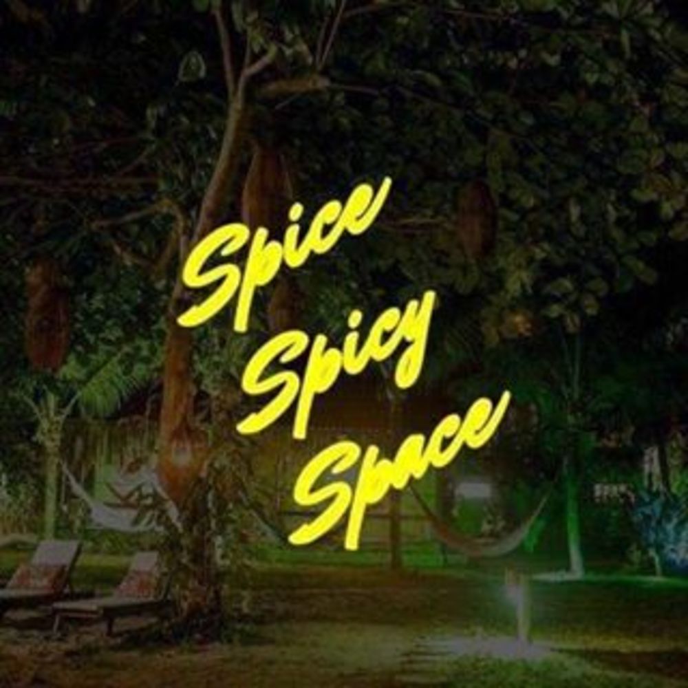 Spice Spicy Space
