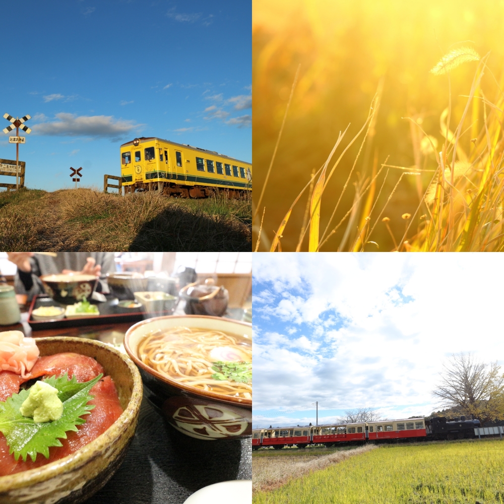 千葉県 カメラ旅 散歩サークル 20代限定千葉県カメラサークル O 千葉県で カメラ旅 散歩の活動中メンバー募集中 カメラ旅 散歩 掲載サークル数日本一 サークルメンバー募集中 社会人の為のサークル活動支援プラットフォーム つなげーと