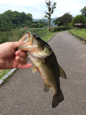 東京都 釣りサークル 関東釣り仲間 東京都で 釣り スポーツ全般の活動中メンバー募集中 釣り スポーツ全般 掲載サークル 数no 1 32 164サークル 社会人サークルでつながるフレンディングアプリ つなげーと