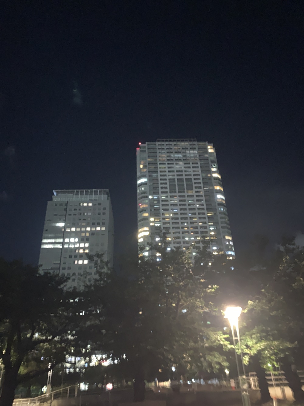 ナイトウォーク交流会
