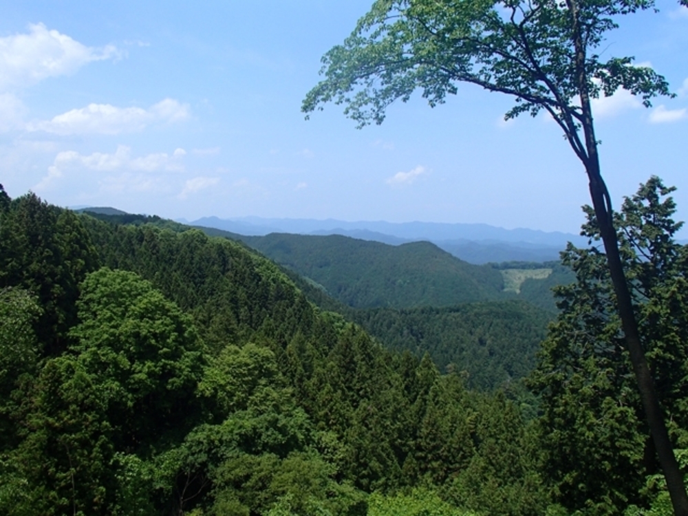 秋の高水三山縦走ハイキング!参加無料