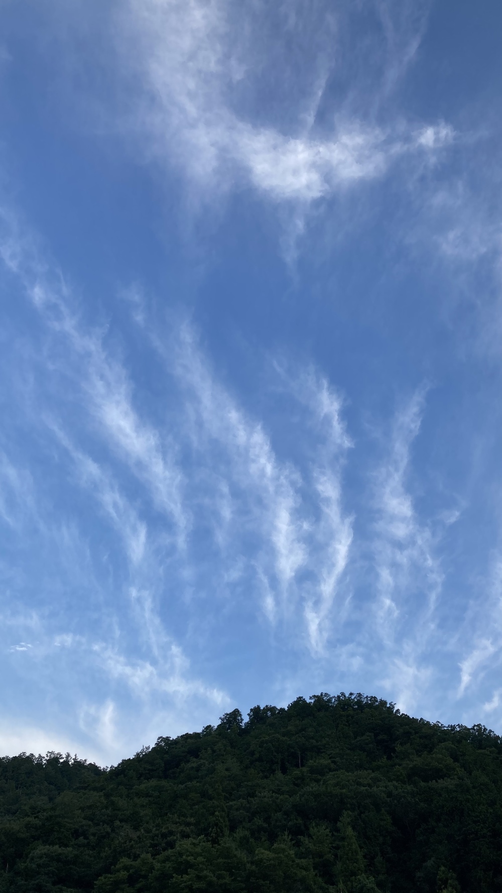 朝活☀️おさんぽ