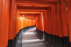 京都お散歩サークル(写真やアート、絵、文科系遊び多めです😄)