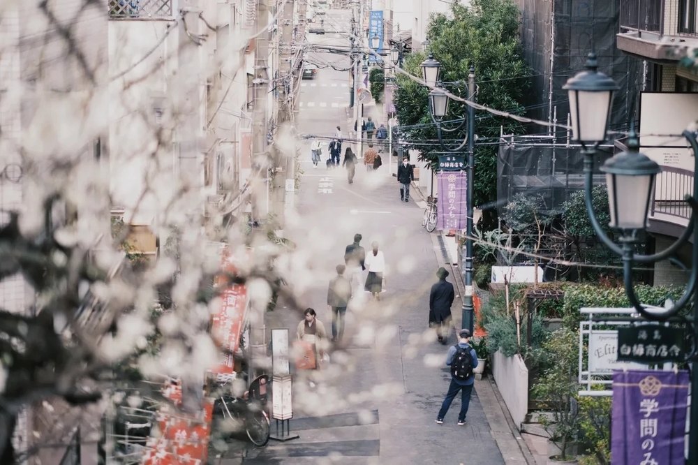 東京おさんぽ日和。