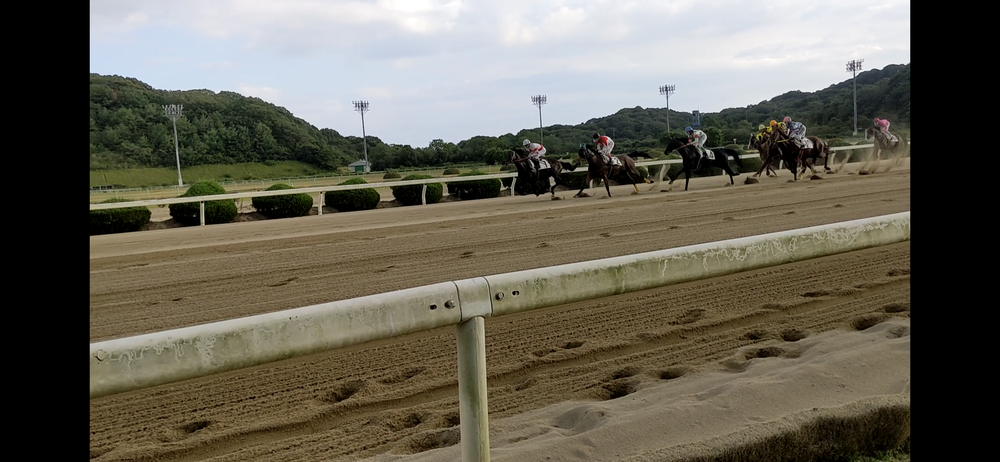 チーム佐賀競馬
