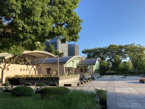 埼玉県 散策 散歩サークル 埼玉県さいたま市 ポケモンgoまったり活動 埼玉県で 散策 散歩 ゲームの活動中メンバー募集中 散策 散歩 ゲーム 掲載サークル数日本一 サークルメンバー募集中 社会人の為のサークル活動支援プラットフォーム つなげーと