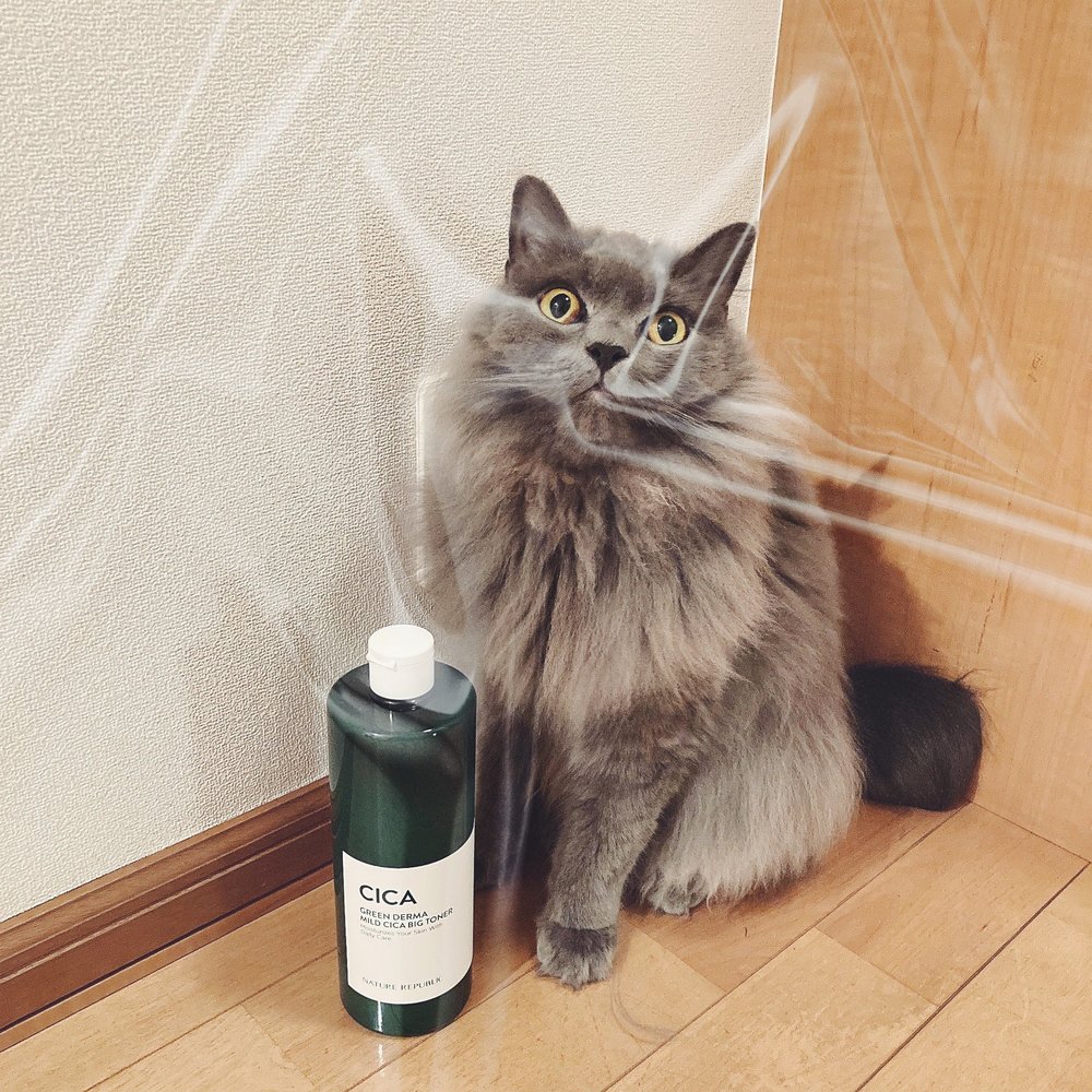 みんなでカラオケに行こう!!٩( ᐛ )و