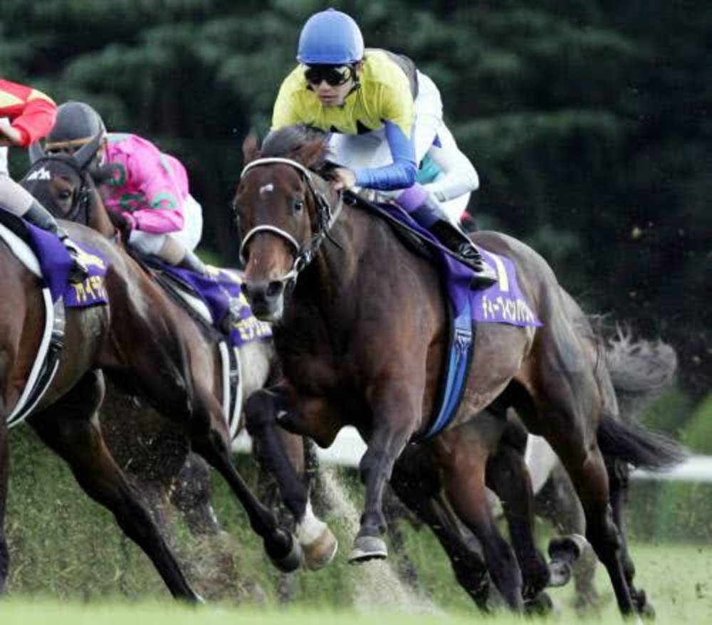 TOKYO競馬会