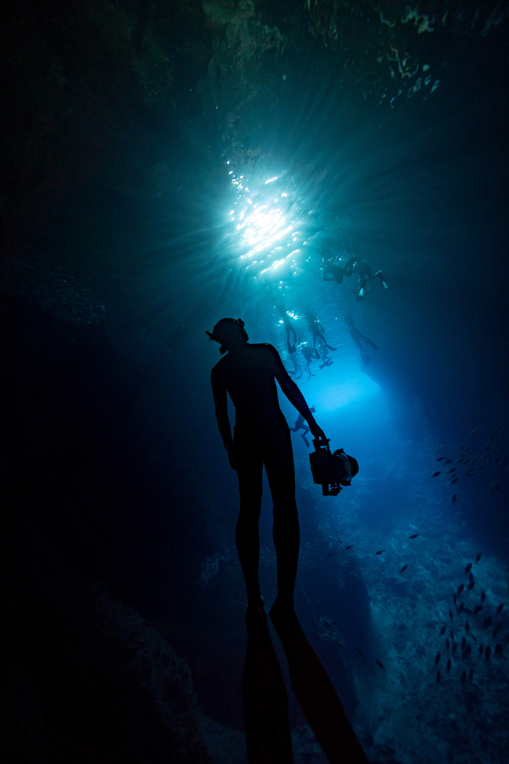 東京都 水泳サークル Ukスキンダイビングクラブ 東京都で 水泳 海 マリンスポーツの活動中メンバー募集中 水泳 海 マリンスポーツ 掲載サークル数no 1 32 326サークル 社会人サークルでつながるフレンディングアプリ つなげーと
