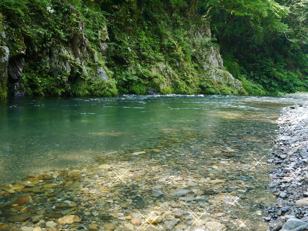 東京大自然 出会い系アプリ
