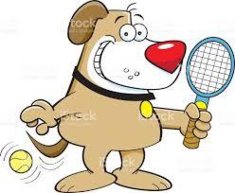 🎾経験なしでも大丈夫🔰