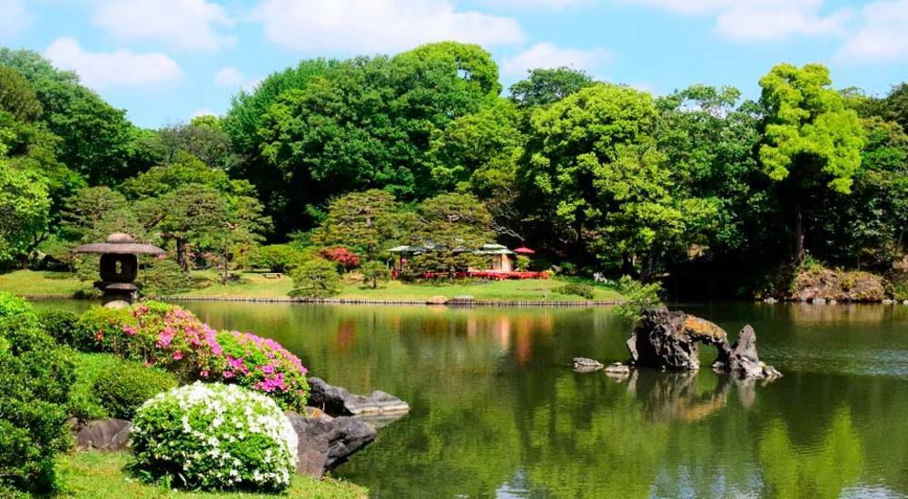🌿🍃誰でも参加歓迎!六義園で森林浴会🍃🌿