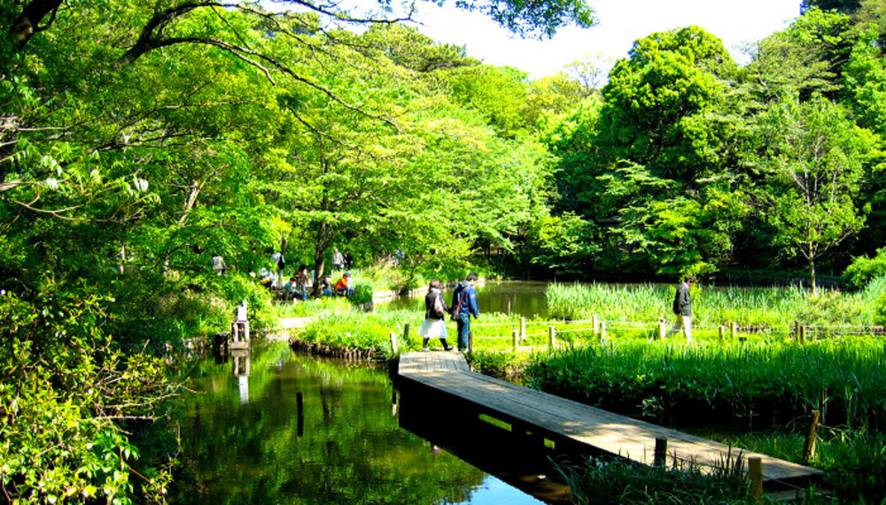 🌿🌹誰でも参加歓迎!付属自然教育園で森林浴会🌹🌿
