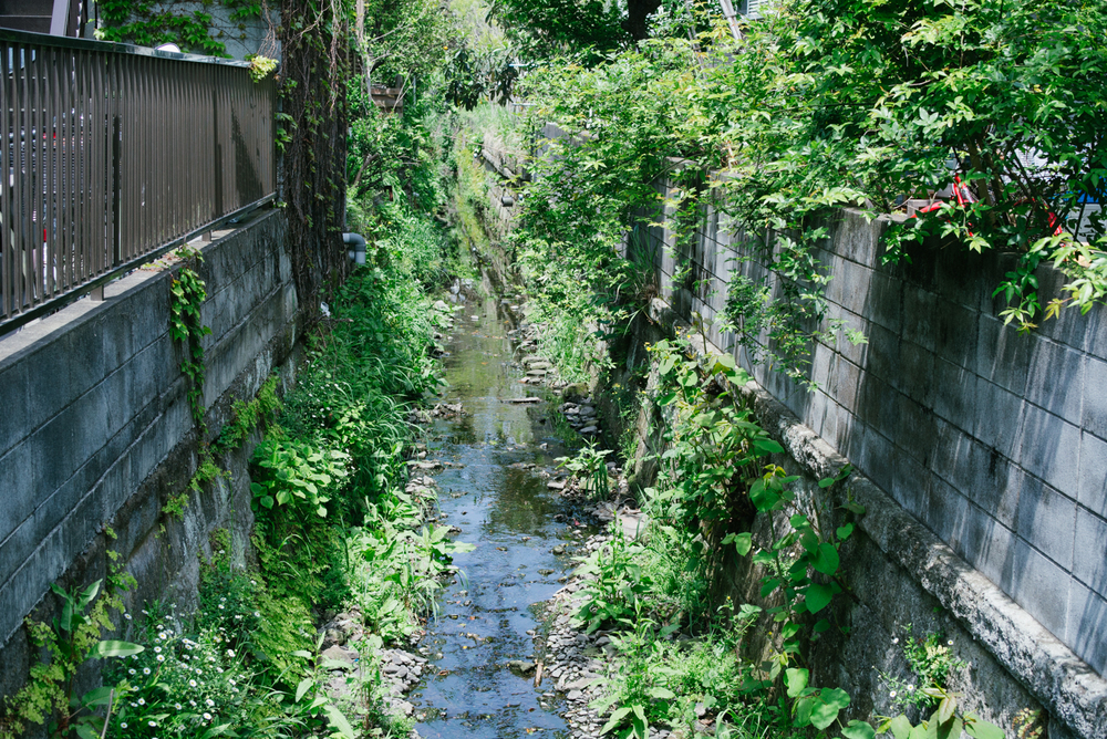 長谷寺と周辺散策