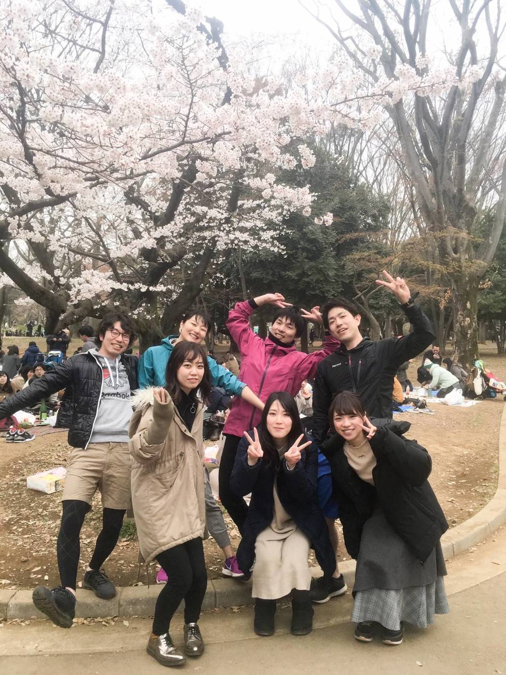 鎌倉ランニング(7.4km)