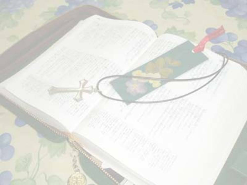 世界最大のベストセラー『聖書』を学びましょう!