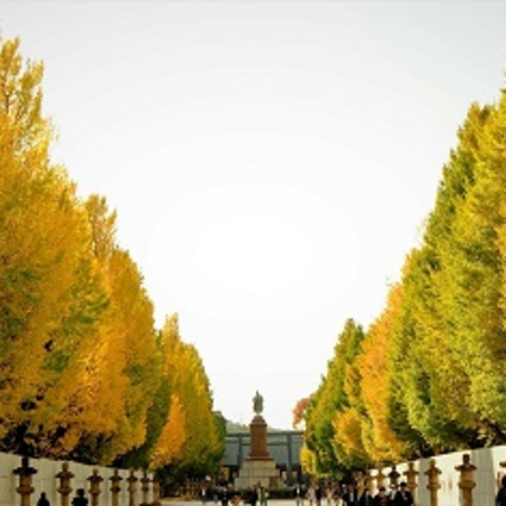 30 40代 パワースポット 紅葉 1人参加 飯田橋 のサークル活動カレンダー 19年11月24日 掲載サークル数日本一 サークルメンバー募集中 社会人の為のサークル活動支援プラットフォーム つなげーと