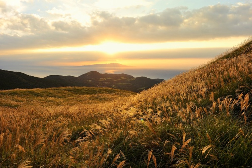 伊豆・稲取細野高原ですすきと夕焼け撮影会
