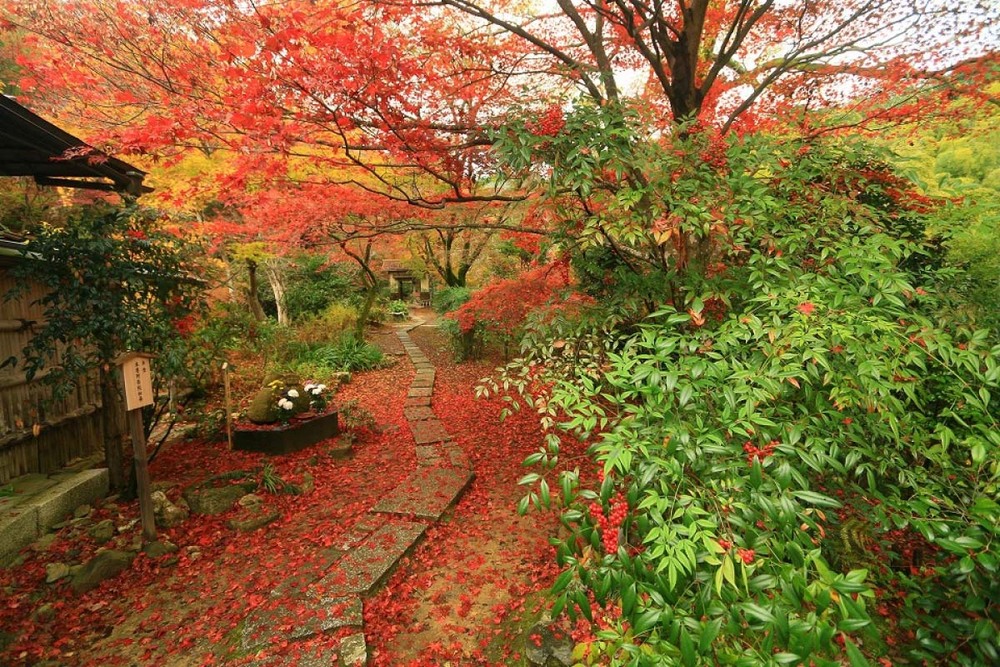 11/23 直指庵 〜京都嵐山〜