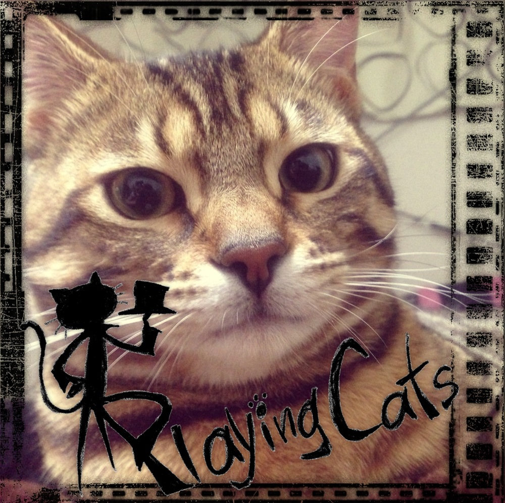 Playing Cats Session vol.20