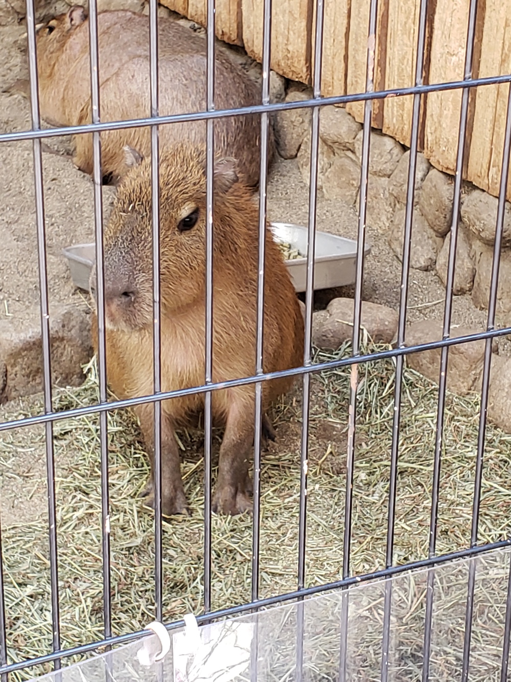 オールジャンルカラオケ会