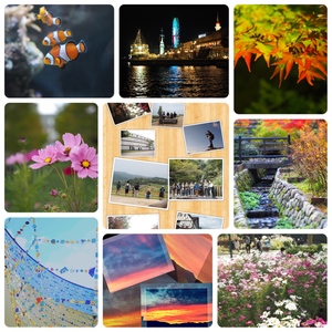 大阪府 カメラ 写真サークル カメラ持ってお出かけ 大阪府で カメラ 写真 カメラ旅 散歩 イベント 友達づくりの活動中メンバー募集中 カメラ 写真 カメラ旅 散歩 イベント 友達づくり 掲載サークル数日本一 サークルメンバー募集中 社会人の為の