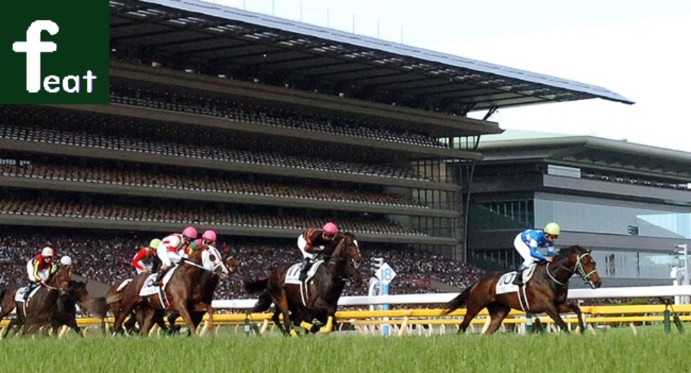 競馬観戦をしよう!