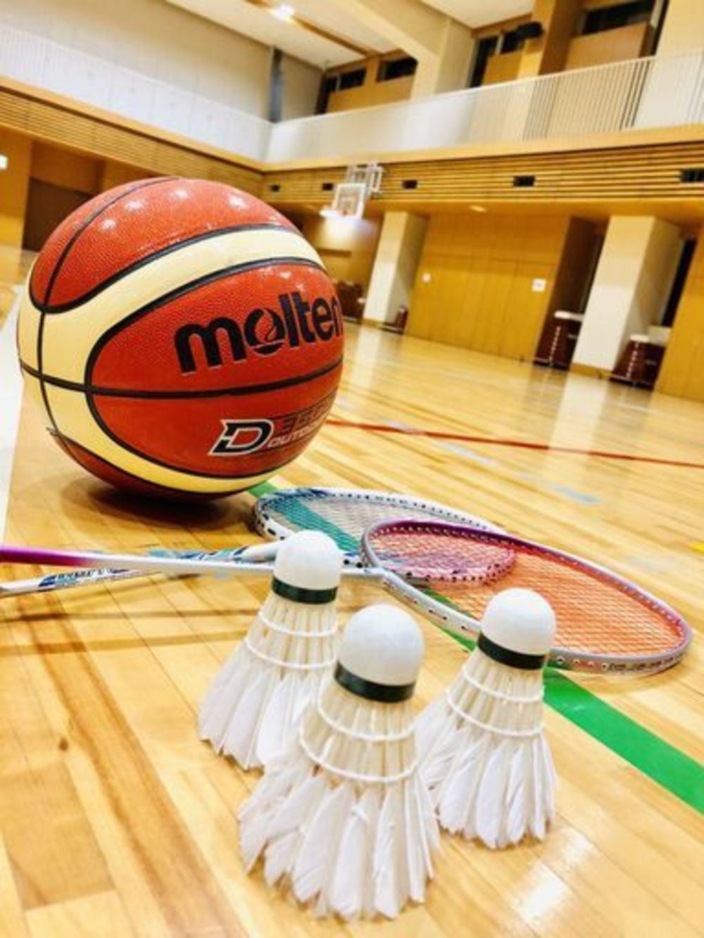 【東京】2月9日 スポーツ交流会(バスケットボール・バドミントン)得意・不得意関係なし!みんなで楽しむスポーツ会!