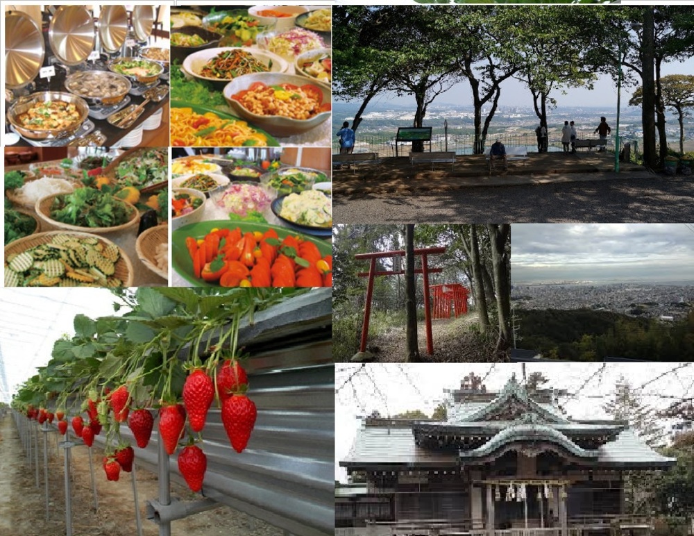 春まじか、いちご狩りと旬の野菜バイキングと絶景みに行くよ