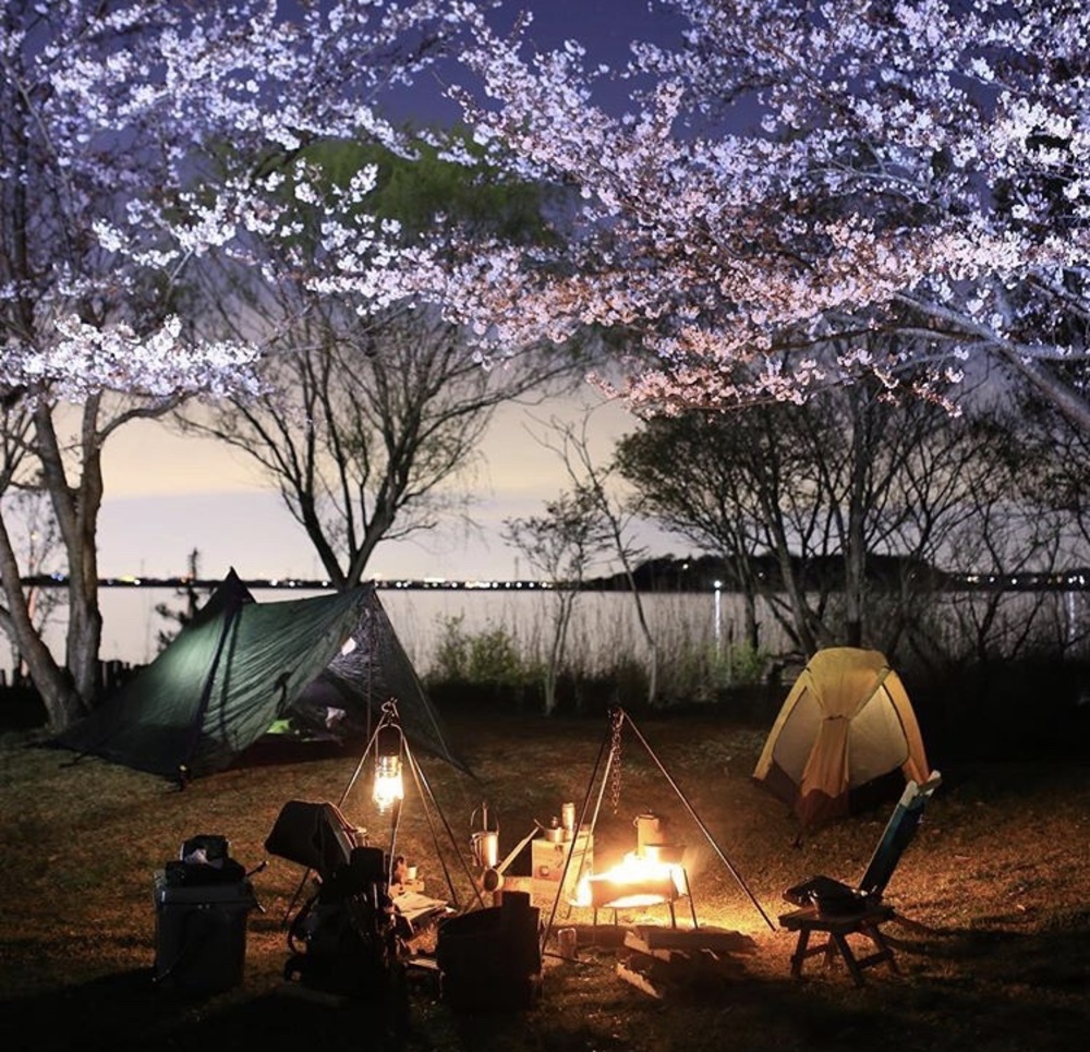 花見キャンプ & NIGHT BBQ🌃🔥