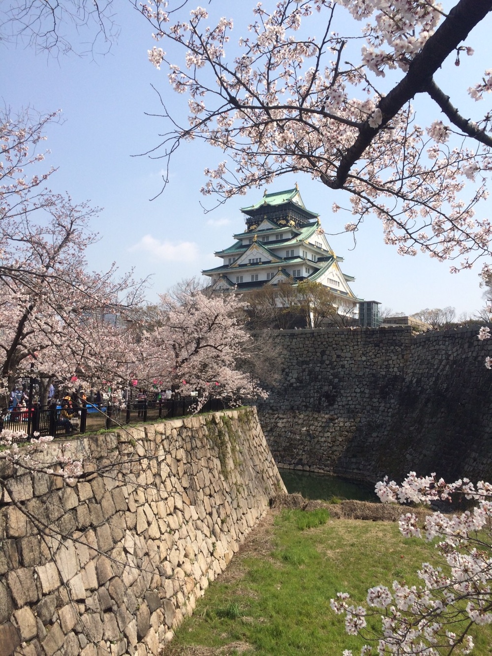 中止(コロナ拡大防止の為) 4/4大阪城公園で花見(桜満開のタイミング)