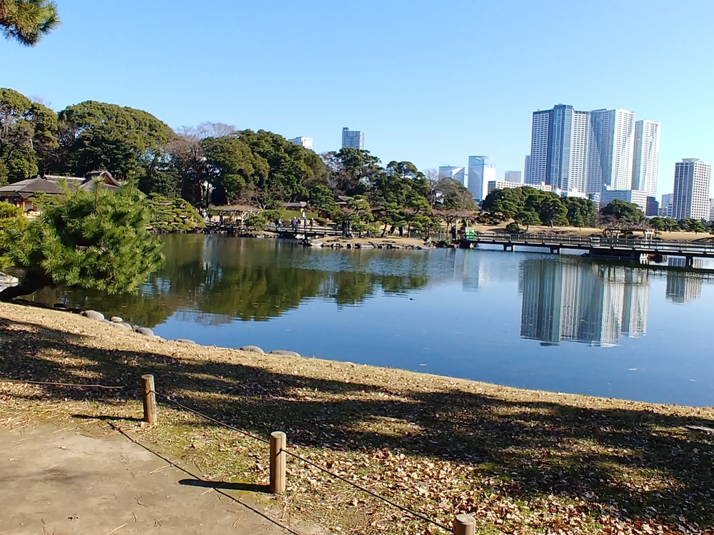 浜松町付近 : 頑張って散歩したい(募集終了します)