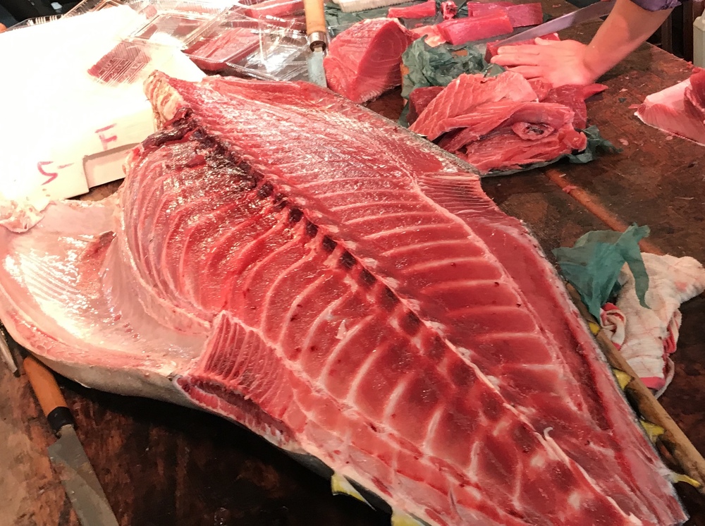 【開催中止】m(_ _)mマグロ大好き!!マグロ食べ尽くしランチ会!!