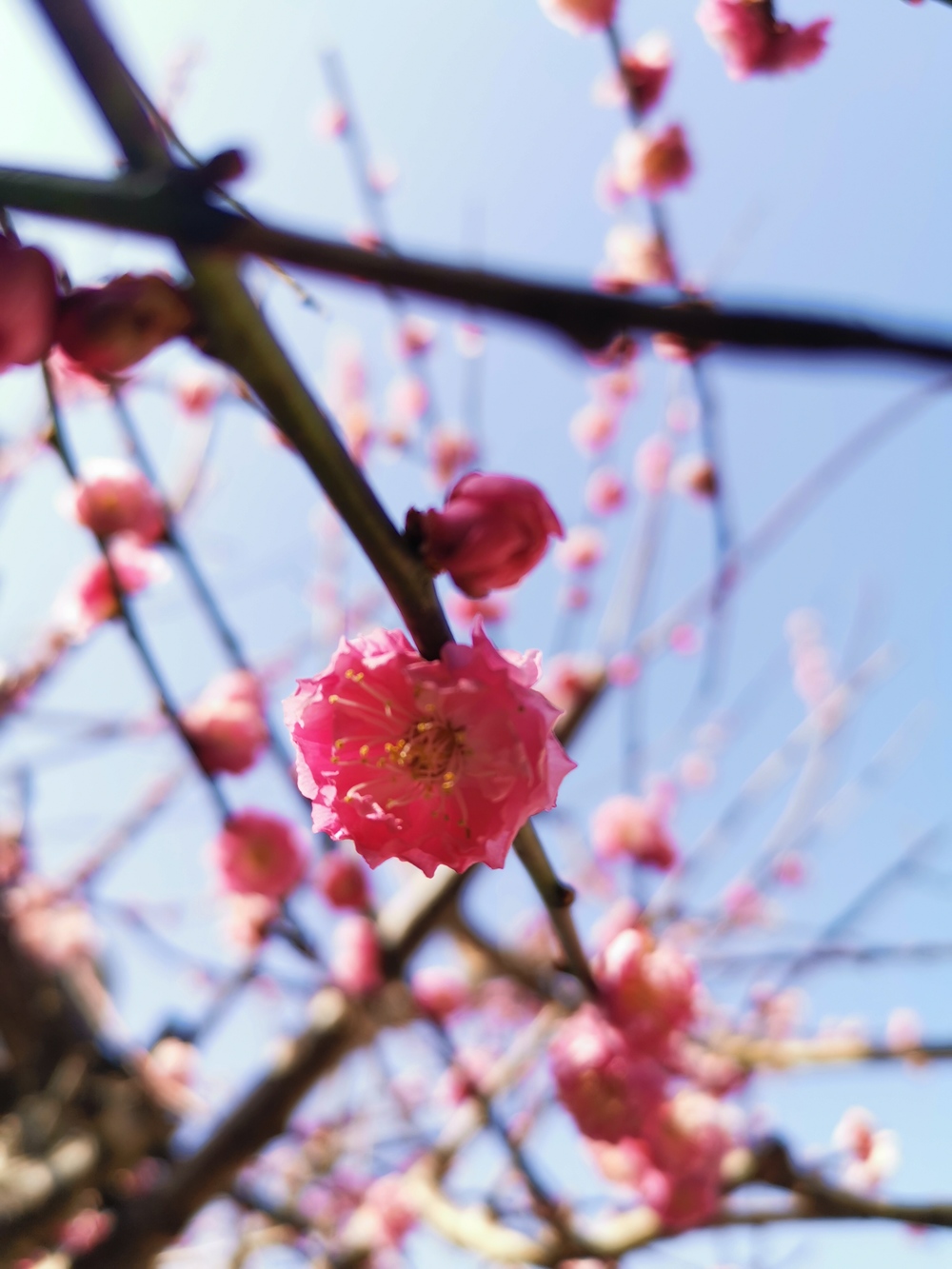 靭公園で撮影会♡