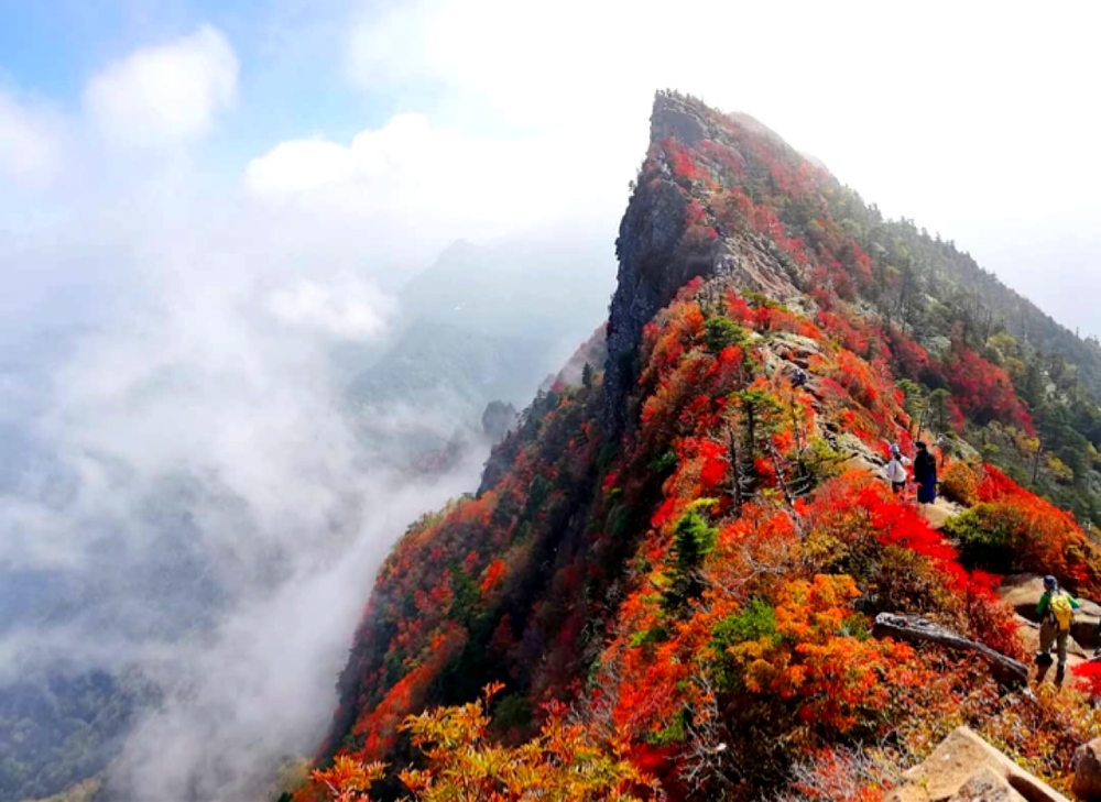 絶景紅葉 石鎚山