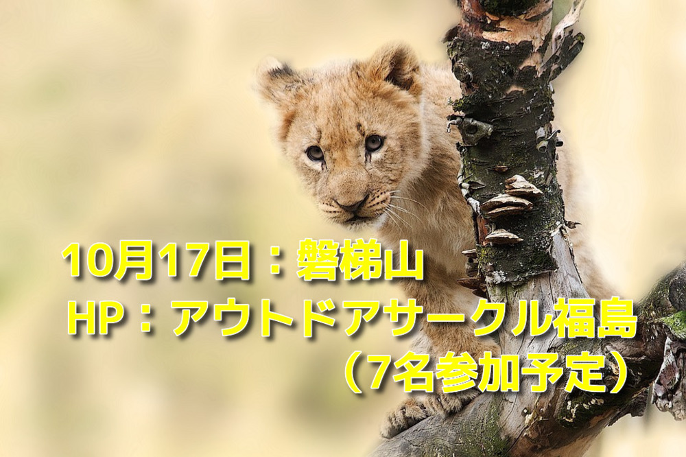 【10月17日(土)】晩秋の磐梯山トレッキング企画【現在7名参加予定】
