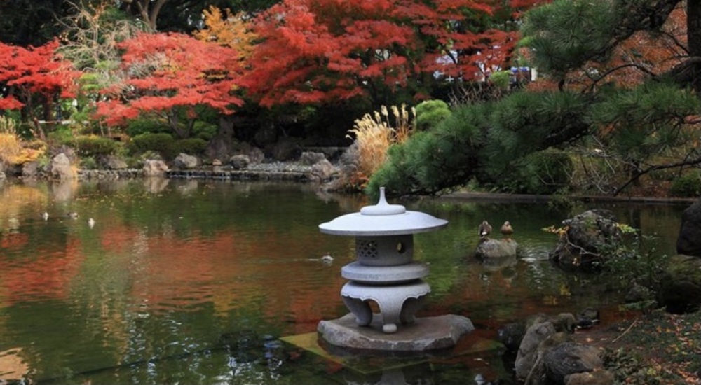 紅葉が始まりましたね横浜公園〜日本大通り〜山下公園写真撮影散歩&カフェ