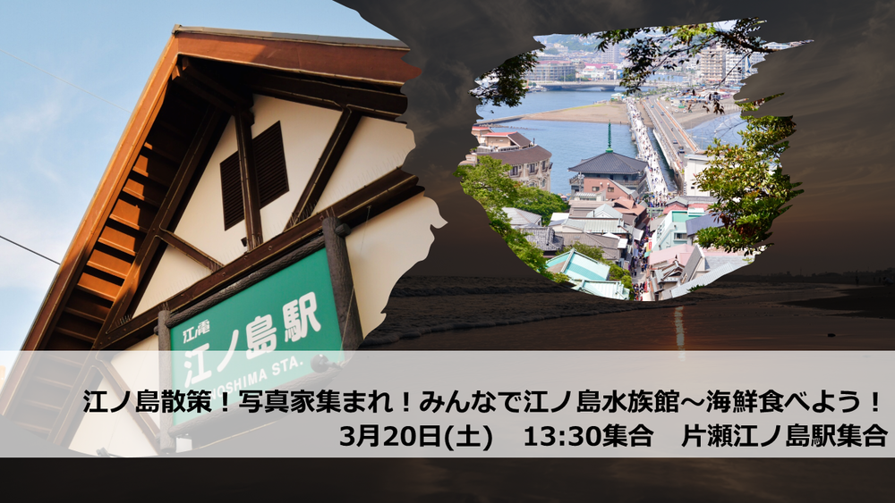 【3月20日】江の島散策!写真家も集まれ!みんなで江ノ島水族館~海鮮食べよう!!