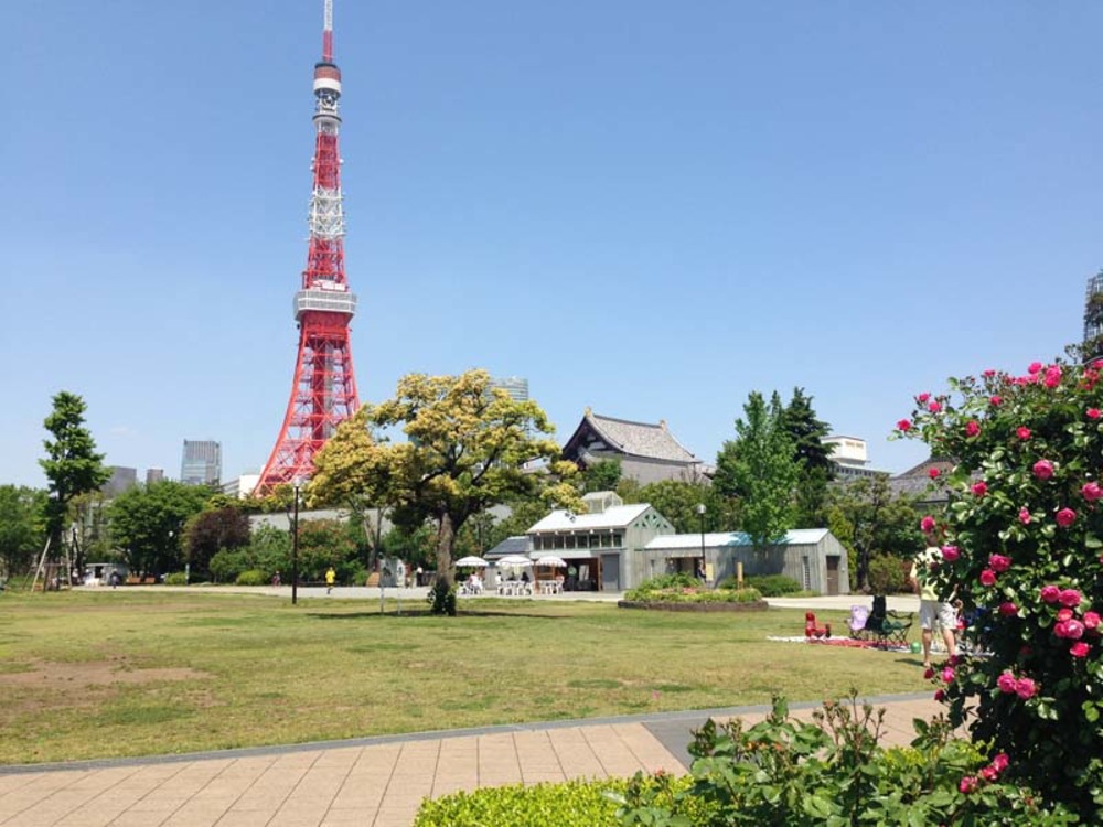 【祝日開催!芝公園ウォーク!】予想を超えます!!都会と自然の融合する場所、芝公園周辺を歩こう!