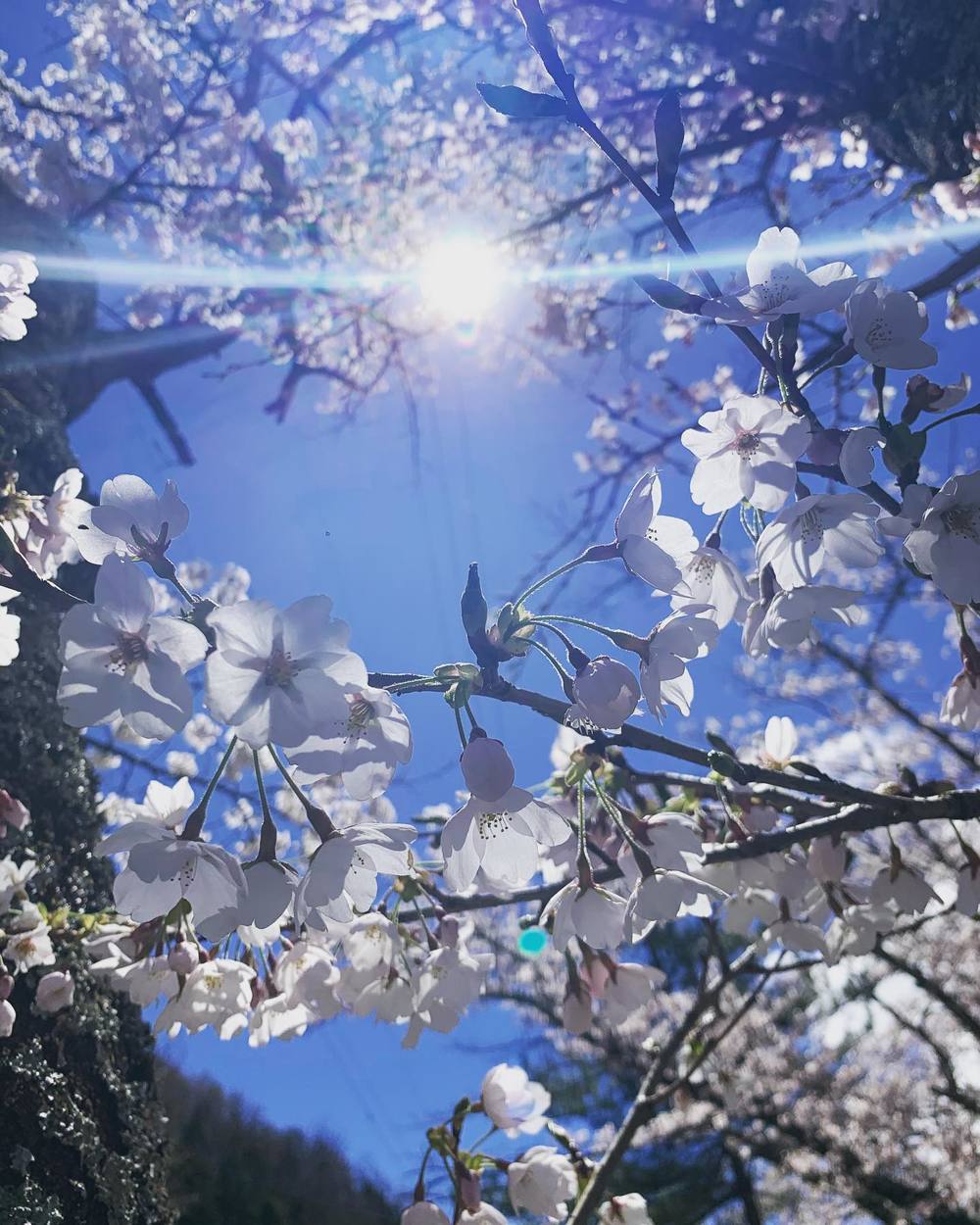 4/10-11 吹割の滝近くで春キャンプ△☺︎