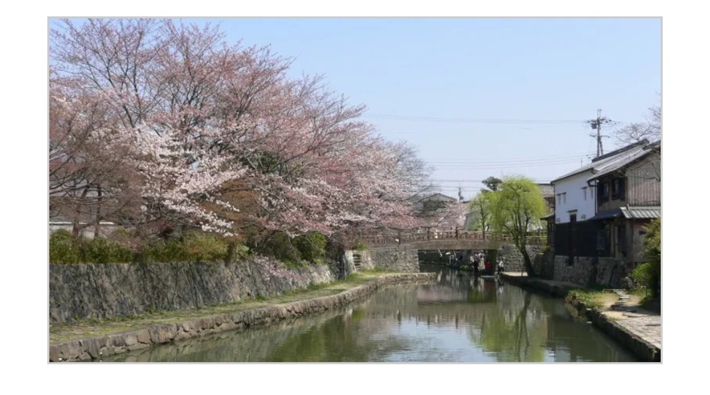 ラコリーナ、八幡堀、カフェ散策(近江八幡)