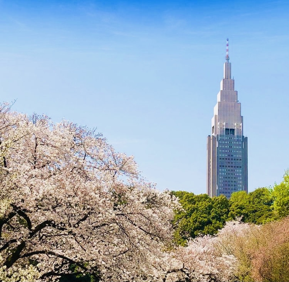 【春と桜と写さんぽ】新宿御苑に春色を撮りに行こう!の会