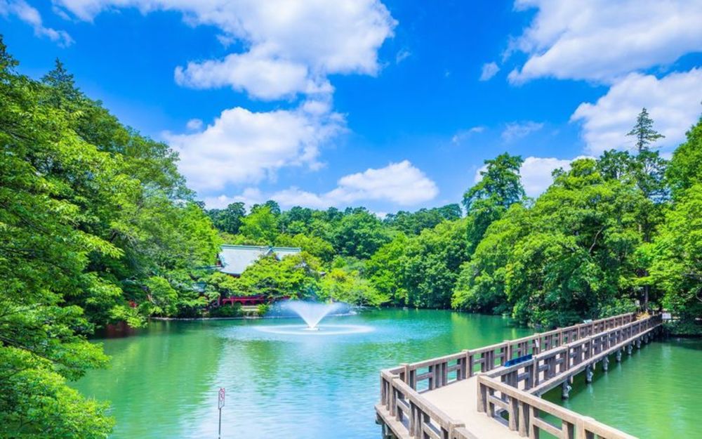 【駅近の万能公園!】井の頭公園で森林浴!自然の中で日頃の疲れを癒そう〜!